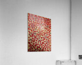 Blossoms Acrylic Print