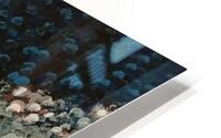 Water love  HD Metal print