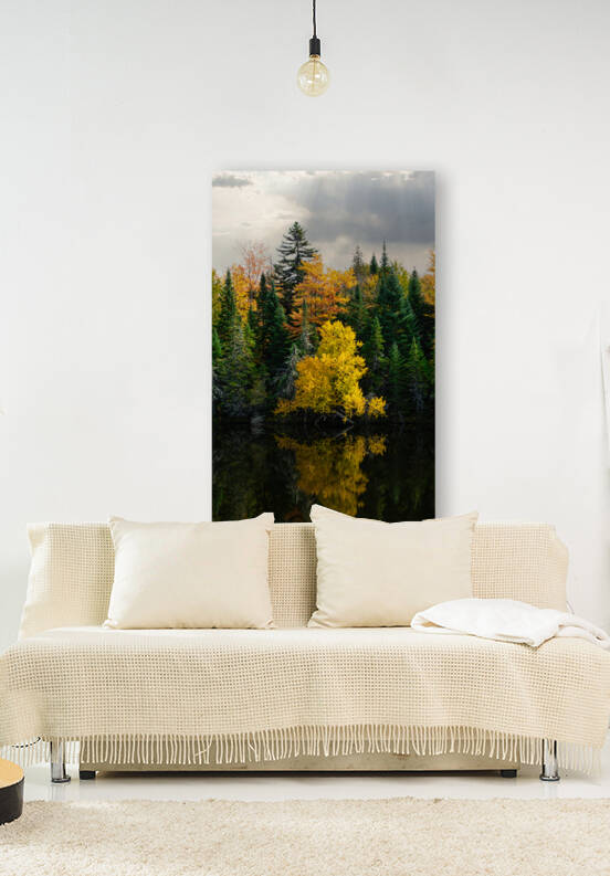 Golden Tree Reflection Reproduction