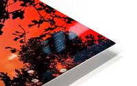 Sunrise through the Trees HD Metal print