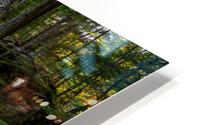 The Mighty Pemi HD Metal print
