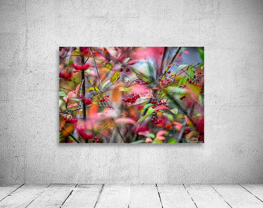 Autumn Red Berries  Wall Preview