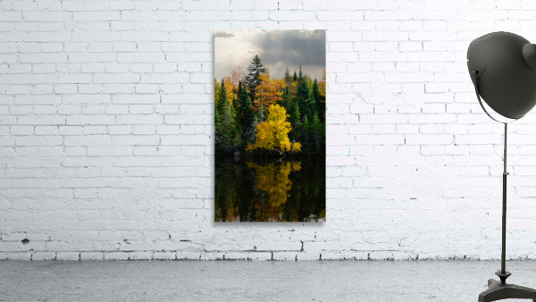 Golden Tree Reflection Wall Preview