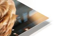 MIMO THE PUPPY HD Metal print