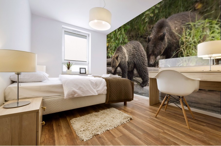 Bear on a log Mural print