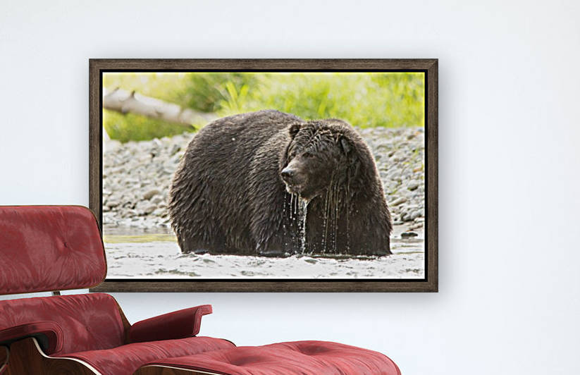 Very Wet Grizzily by Duncan Jacob