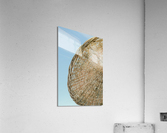 umb 2x3Ratio Acrylic Print