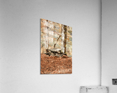 atbl 2x3Ratio Acrylic Print