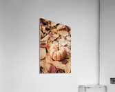 lpmp 2x3Ratio Acrylic Print