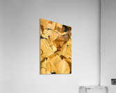 yllw 2x3Ratio Acrylic Print