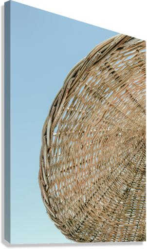 umb 2x3Ratio Canvas Print