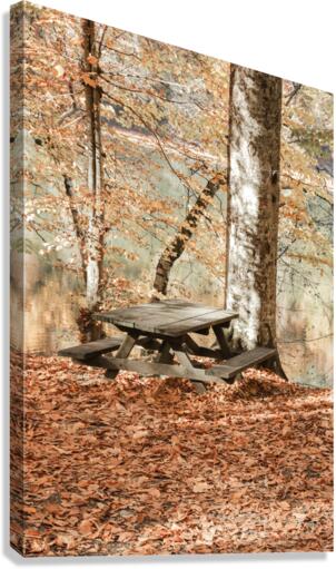 atbl 2x3Ratio Canvas Print