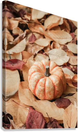 lpmp 2x3Ratio Canvas Print