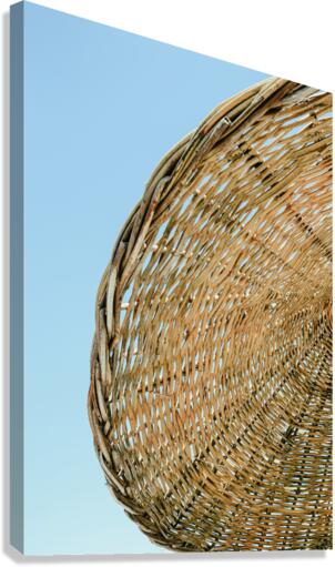 umbr 2x3Ratio Canvas Print