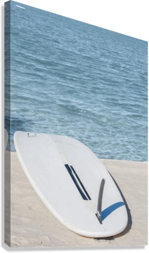 board 2x3Ratio Canvas Print