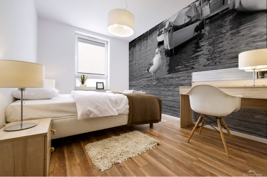 Seagull Mural print