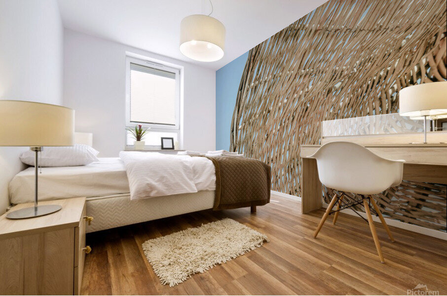 umb 2x3Ratio Mural print