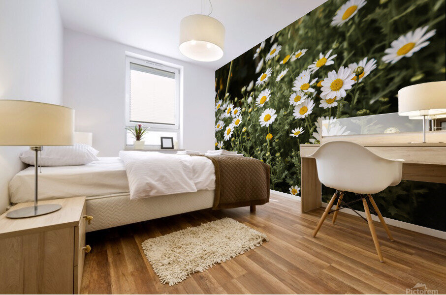 daisy 2x3Ratio Mural print