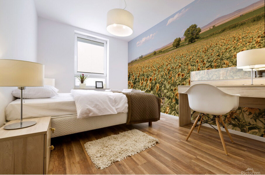 sunfield 2x3Ratio Mural print