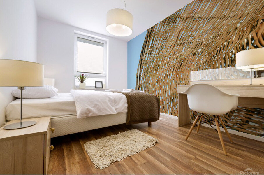 umbr 2x3Ratio Mural print