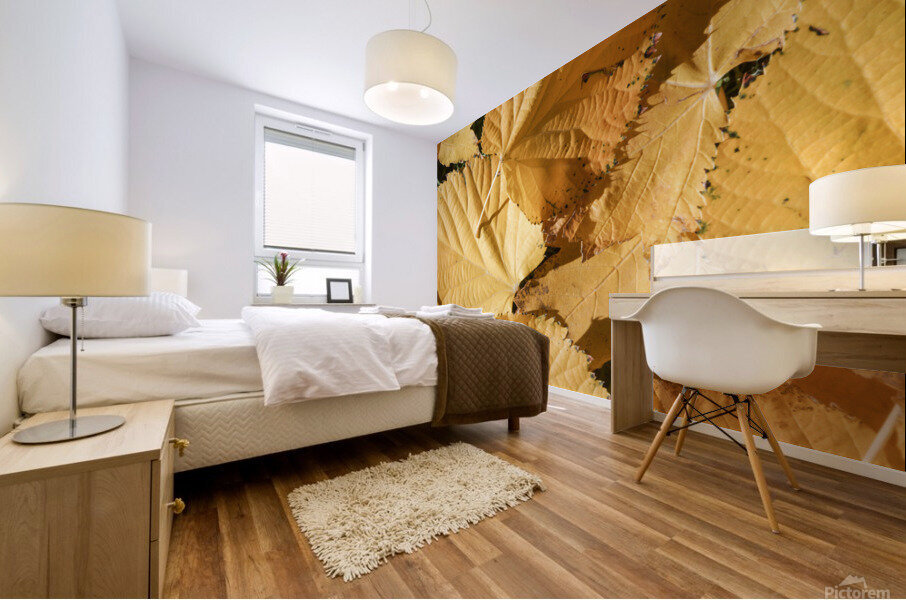 yllw 2x3Ratio Mural print