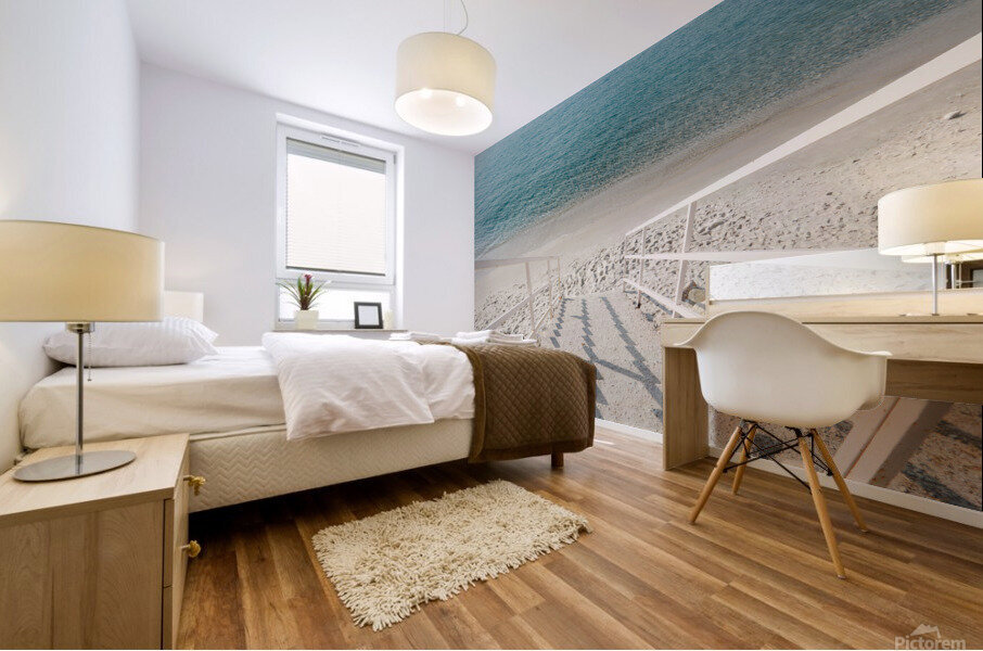strs 2x3Ratio Mural print