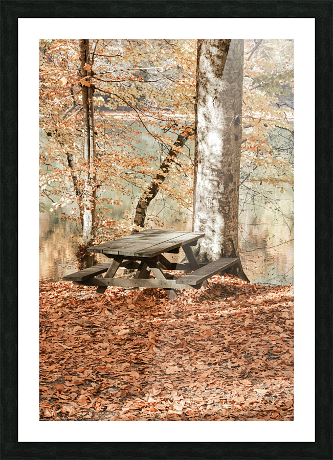 atbl 2x3Ratio Picture Frame print