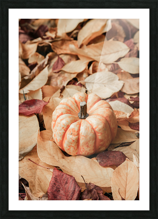 lpmp 2x3Ratio Picture Frame print