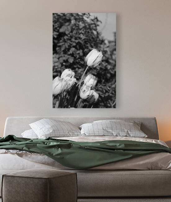 bwtulip 2x3Ratio by Tuba Gunduz Konuk