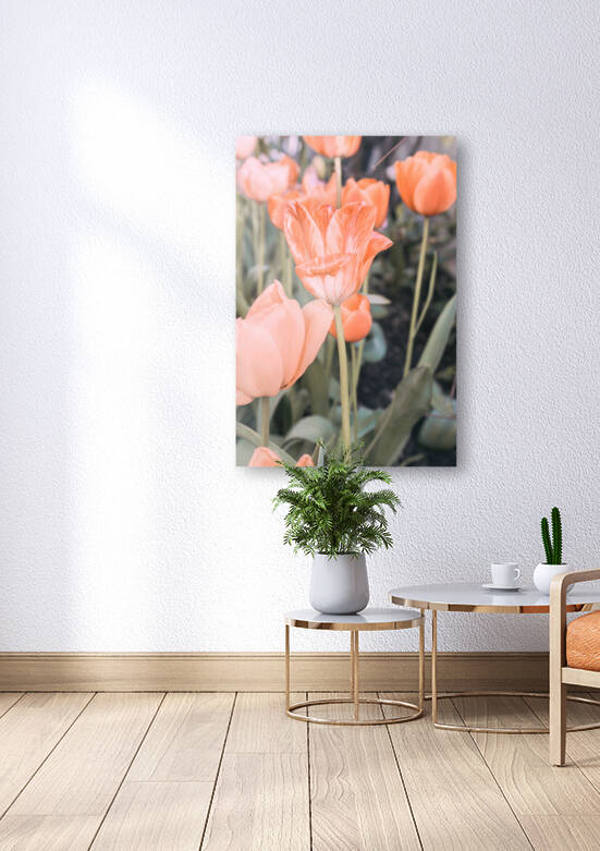 btulip 2x3Ratio by Tuba Gunduz Konuk