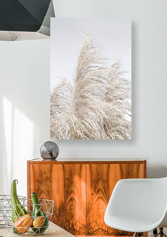 Pampas 2x3Ratio by Tuba Gunduz Konuk