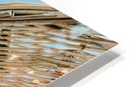 umb 2x3Ratio HD Metal print