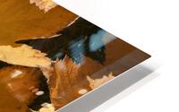 yllw 2x3Ratio HD Metal print