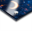 Moonlit Serenity Acrylic print