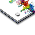 San Francisco California Skyline Acrylic print