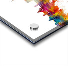 Halle Saale Germany Skyline Acrylic print