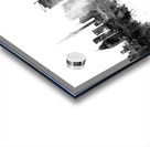 Auckland New Zealand Skyline Acrylic print