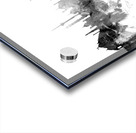 New Delhi India Skyline Acrylic print