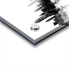 Albany New York Skyline Acrylic print