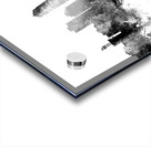 Jacksonville Florida Skyline Acrylic print