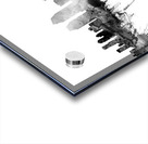 San Diego California Skyline Acrylic print