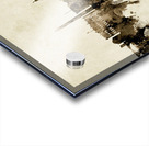 Washington DC Skyline Acrylic print