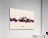 Boise Idaho Skyline Acrylic Print
