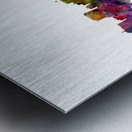 Richmond Virginia Skyline Metal print