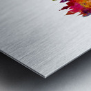 Lausanne Switzerland Skyline Metal print