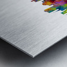 Boulder Colorado Skyline Metal print