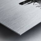 Lincoln England Skyline Metal print