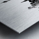 Dusseldorf Germany Skyline Metal print