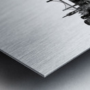 Budapest Hungary Skyline Metal print