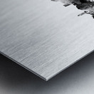 Lubbock Texas Skyline Metal print